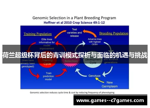 荷兰超级杯背后的青训模式探析与面临的机遇与挑战